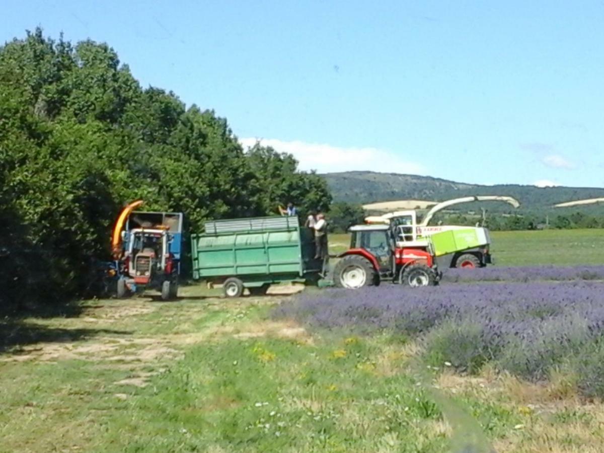 Chambre Pour Cyclistes Au Mt Ventoux Le Barroux Zewnętrze zdjęcie